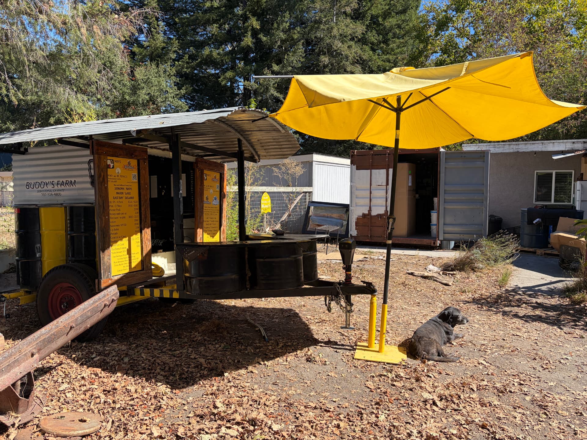 Buddy's Farm stand trailer with a yellow umbrella and the farm dog resting in the shade